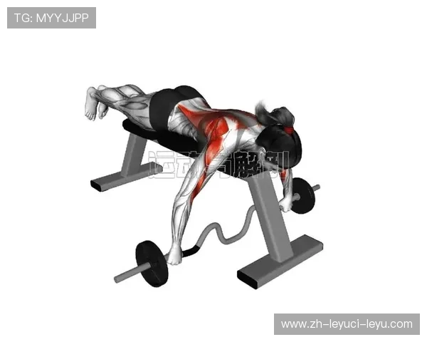 锻炼背部的健身器材及训练动作推荐